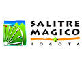 logosalitremagico